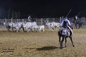 C'era in maremma